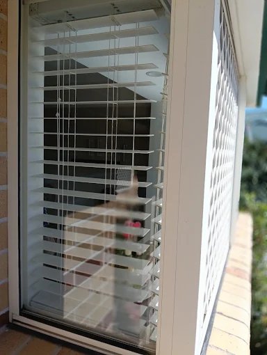 Cleaner wiping down spotless window